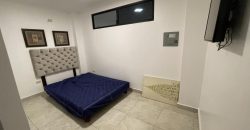 En alquiler suites amobladas en Gran Albocentro 5.